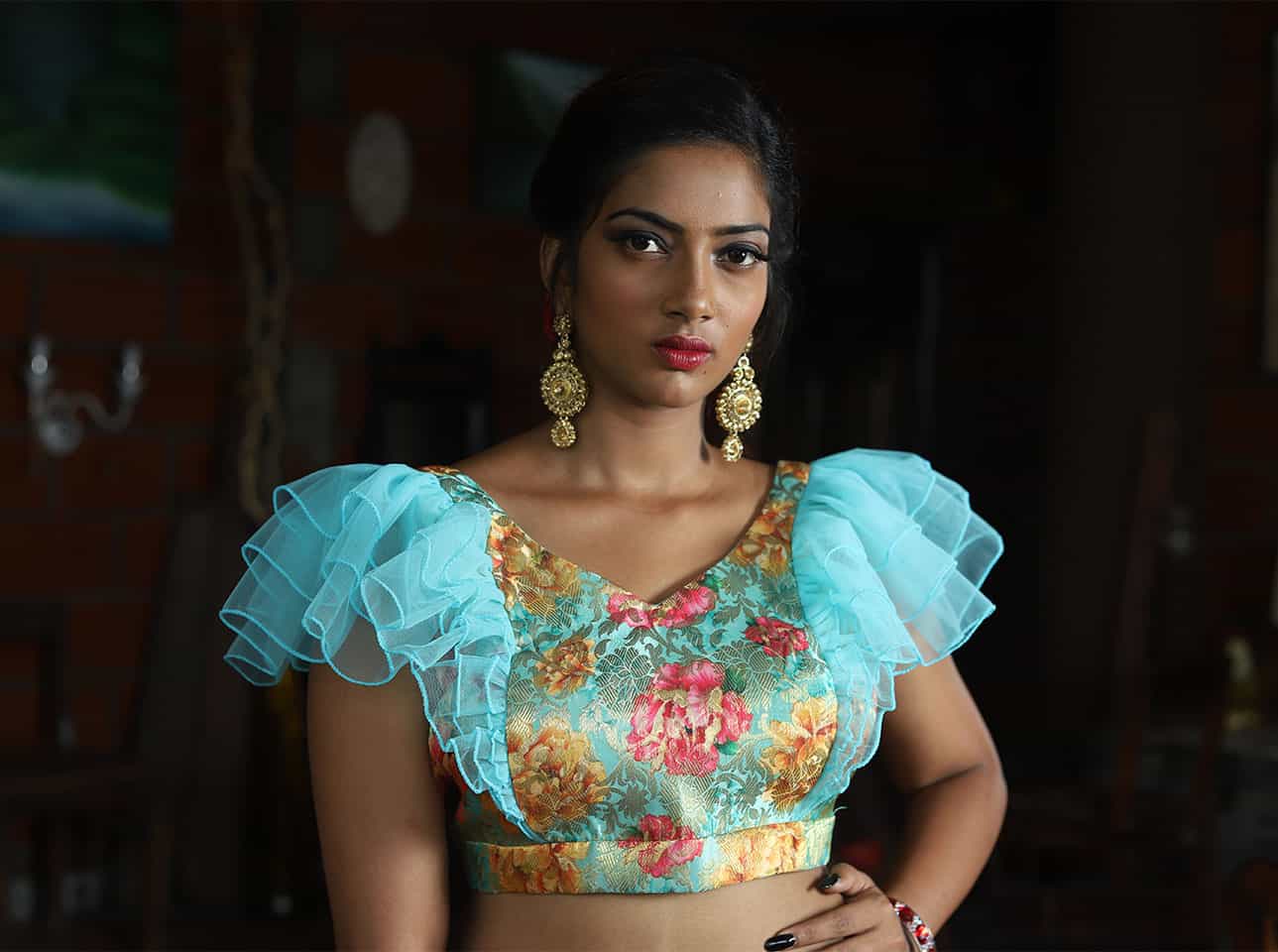 Full Hands Blouse Designs Images
